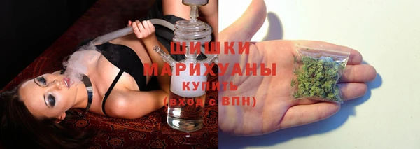 не бодяженный Новозыбков