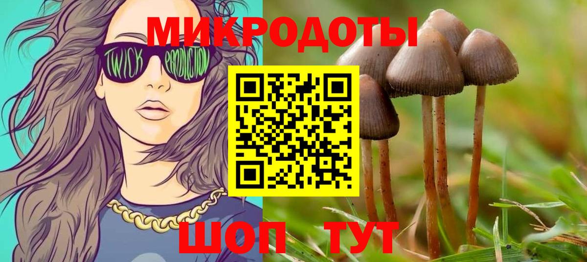 Галлюциногенные грибы Magic Shrooms  Вход с VPN  Галлюциногенные грибы мухоморы  Отрадное 