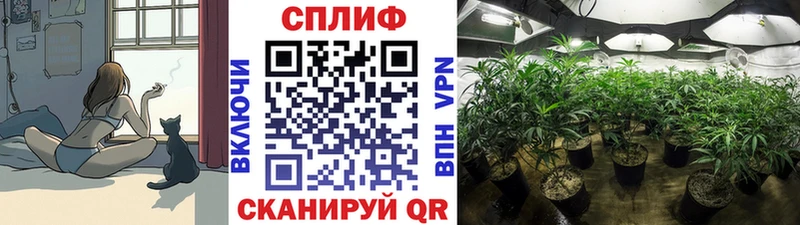 blacksprut сайт  Отрадное  МАРИХУАНА тримм 